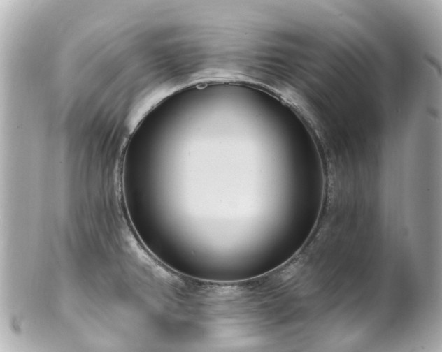X0000100911382200807011233