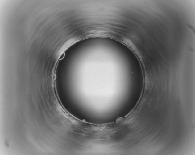 X0000100911386200807011233