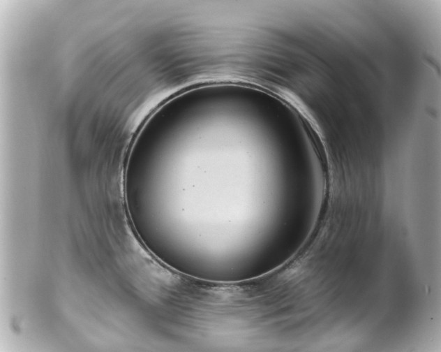 X0000100911388200807011233
