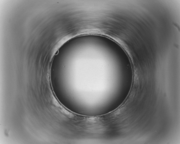X0000100911390200807011233