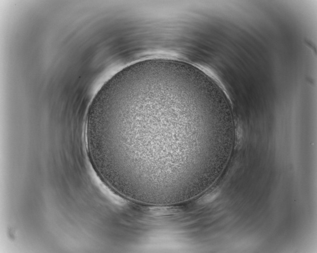 X0000100911391200807011233
