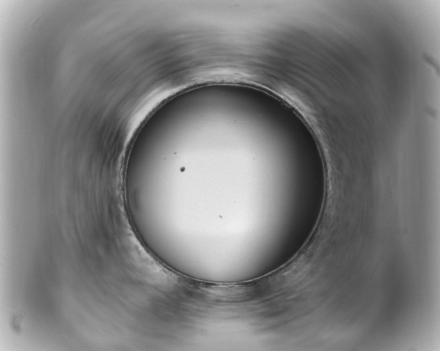 X0000100911392200807011233
