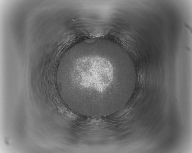 X0000100911393200807011233