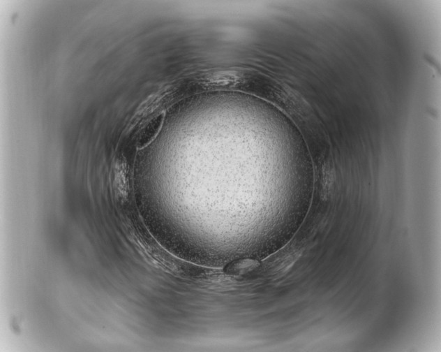 X0000100911394200807011233