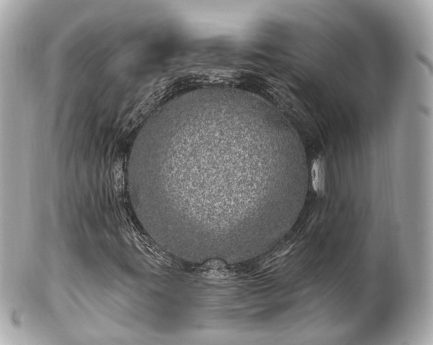X0000100911395200807011233