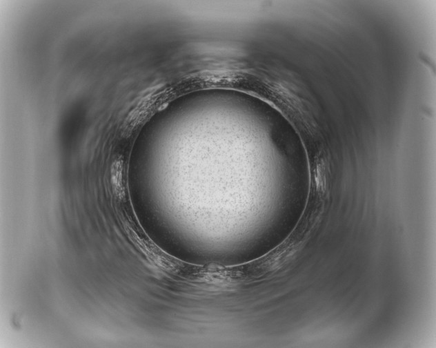 X0000100911396200807011233