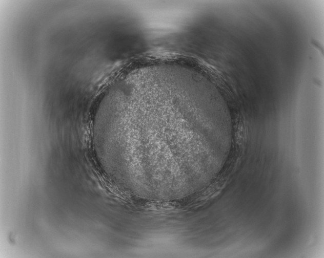 X0000100911397200807011233