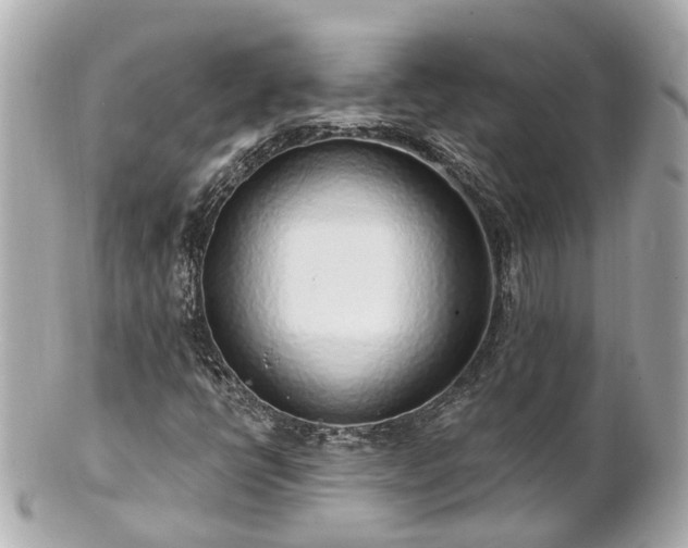 X0000100911398200807011233