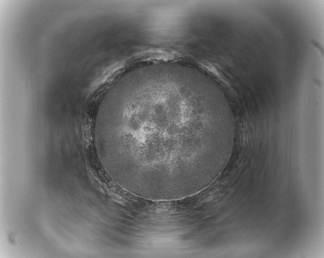 X0000100911399200807011233