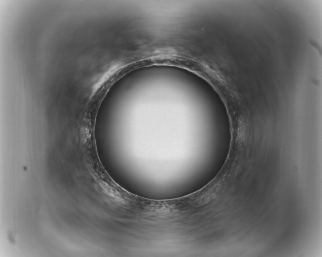 X0000100911400200807011233
