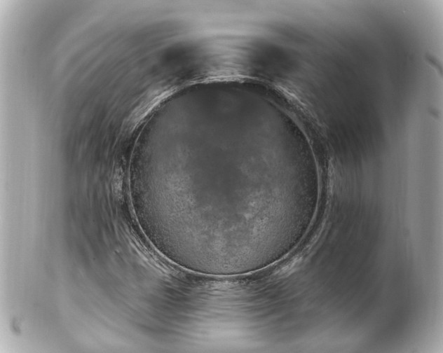 X0000100911401200807011233