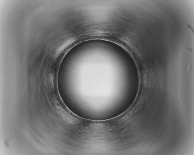 X0000100911402200807011233