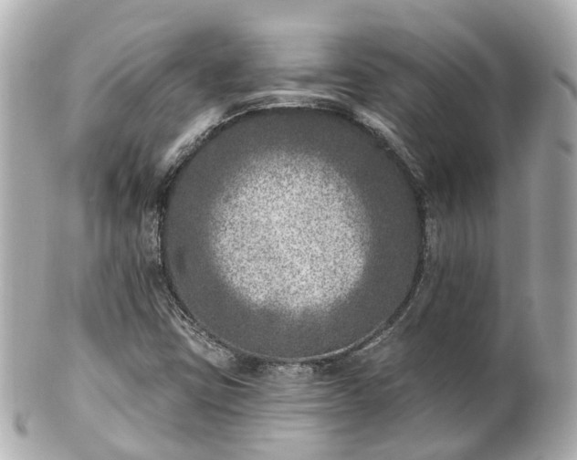 X0000100911403200807011233