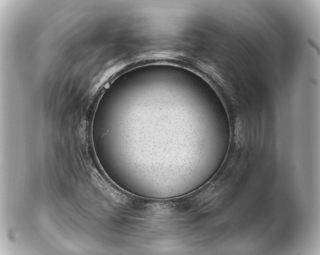 X0000100911404200807011233