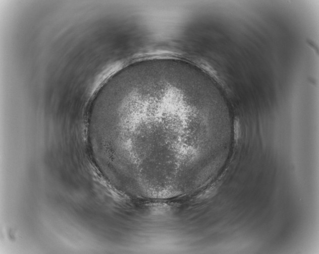 X0000100911405200807011233