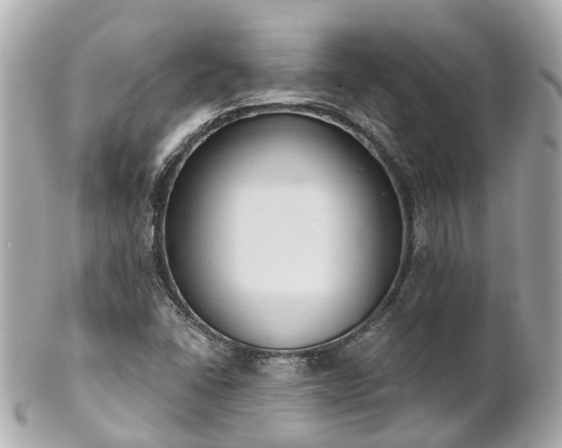 X0000100911406200807011233