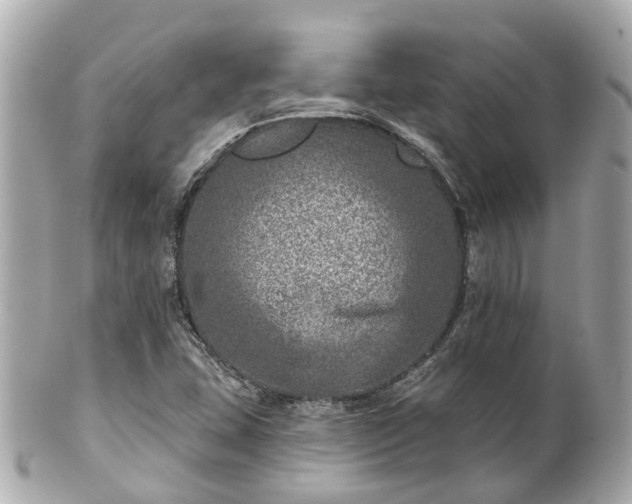 X0000100911407200807011233