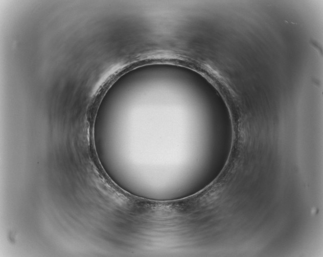 X0000100911408200807011233
