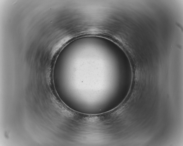 X0000100911410200807011233