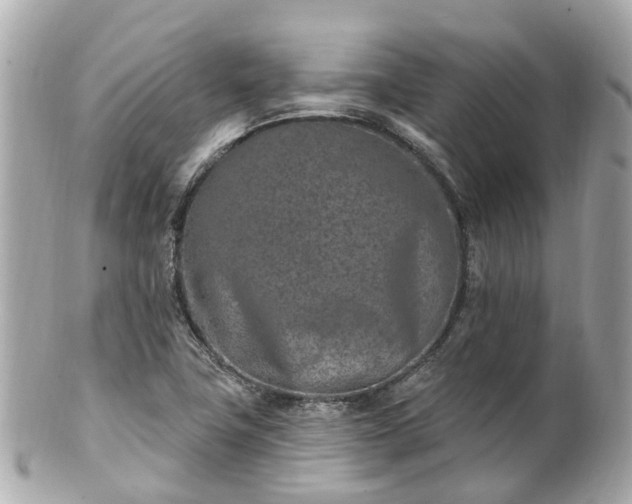 X0000100911411200807011233