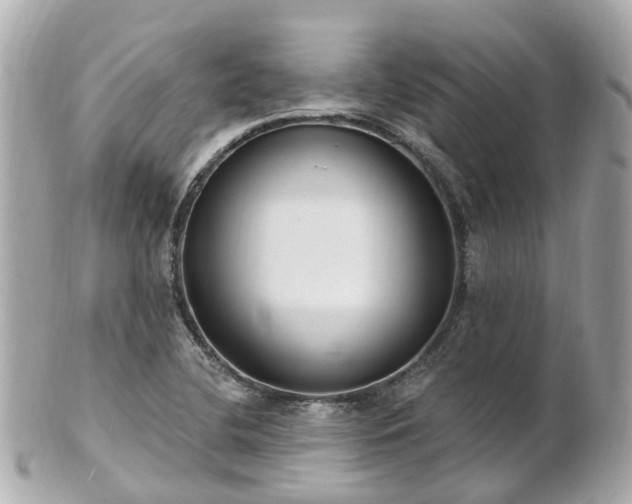 X0000100911412200807011233