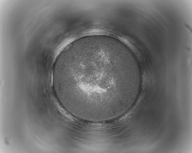 X0000100911413200807011233