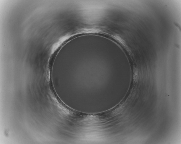 X0000100911414200807011233