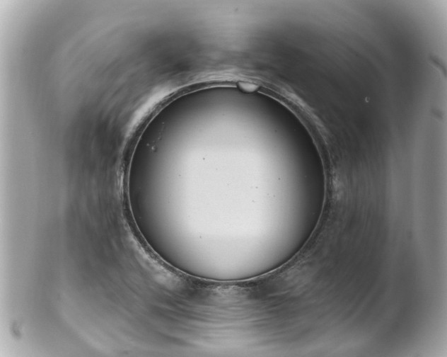 X0000100911416200807011233