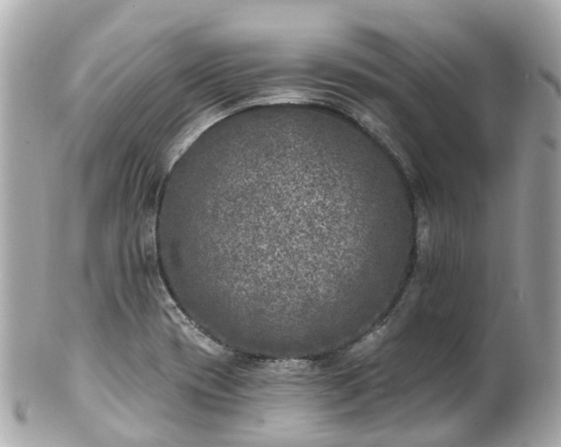 X0000100911417200807011233