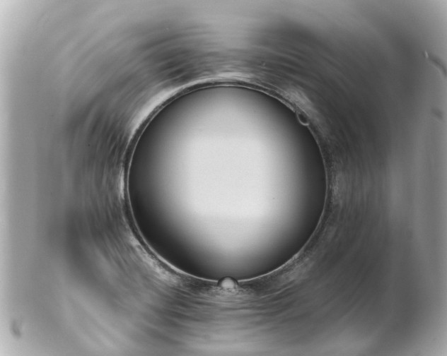 X0000100911420200807011233