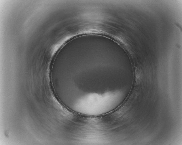 X0000100911422200807011233