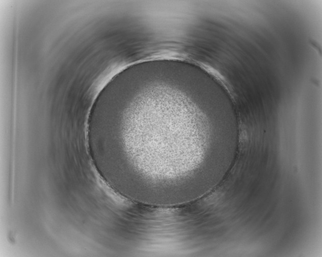 X0000100911423200807011233