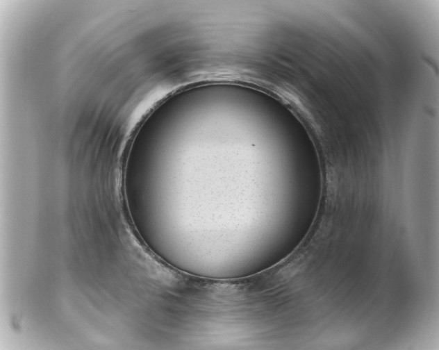 X0000100911424200807011233