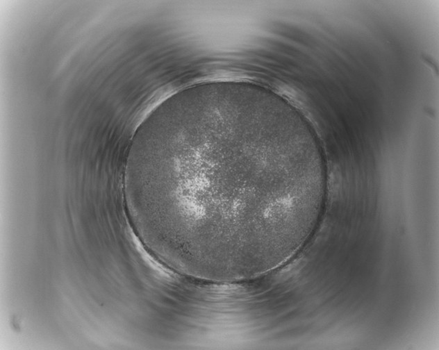X0000100911425200807011233
