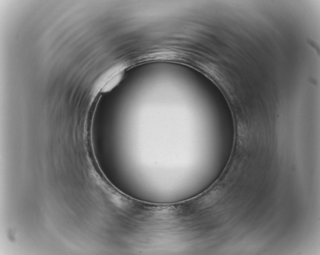 X0000100911426200807011233