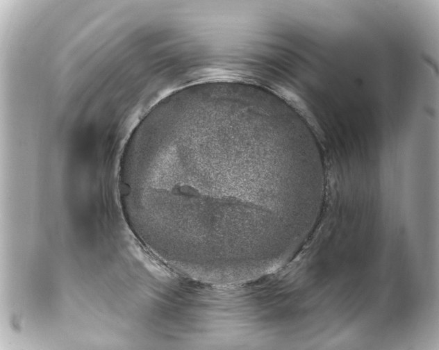 X0000100911427200807011233
