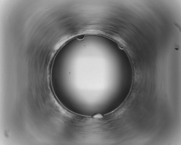 X0000100911430200807011233