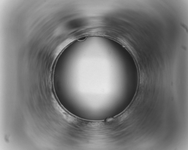 X0000100911434200807011233