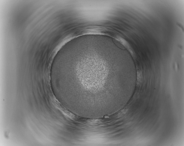 X0000100911435200807011233