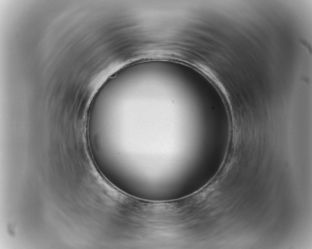 X0000100911437200807011233