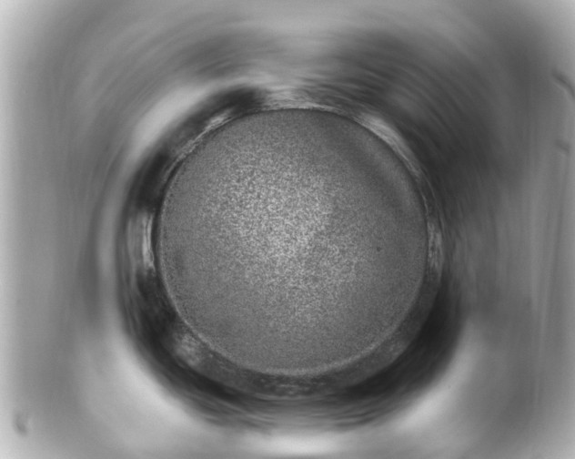 X0000100911439200807011233