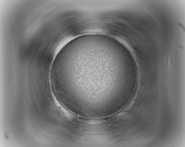 X0000100911440200807011233