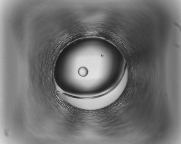X0000100911441200807011233