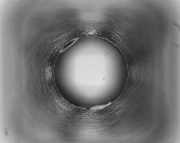 X0000100911442200807011233