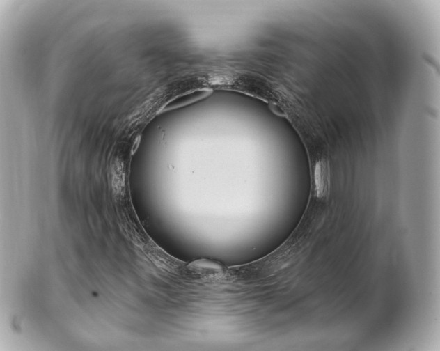 X0000100911443200807011233