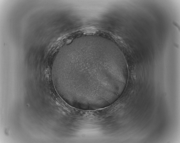 X0000100911445200807011232