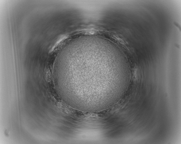 X0000100911446200807011232