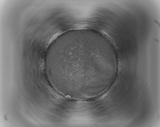 X0000100911449200807011232