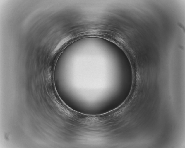 X0000100911450200807011232