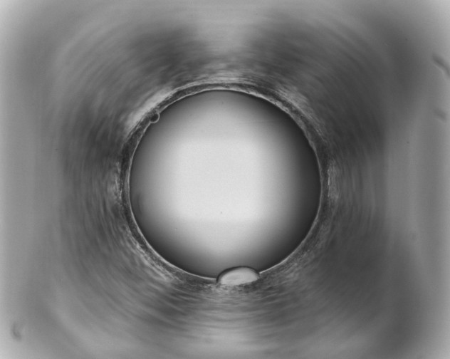 X0000100911452200807011232